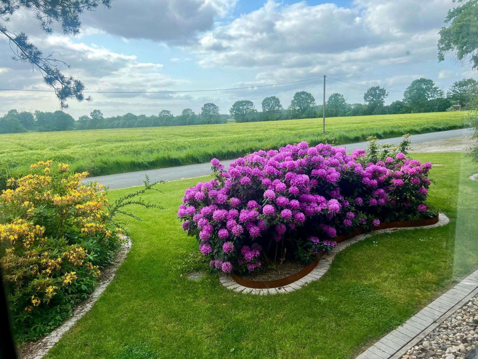 Dreckerhook, Oasis To Slow Down! Raesfeld ภายนอก รูปภาพ